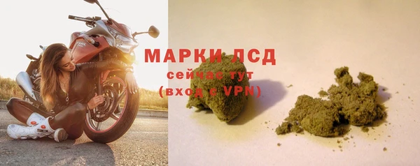 ГАЛЛЮЦИНОГЕННЫЕ ГРИБЫ Аркадак