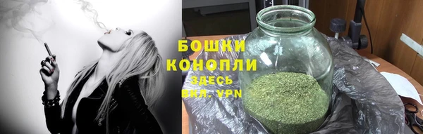 ГАЛЛЮЦИНОГЕННЫЕ ГРИБЫ Аркадак