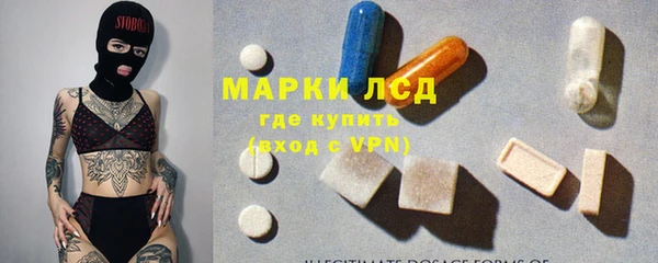 ГАЛЛЮЦИНОГЕННЫЕ ГРИБЫ Аркадак