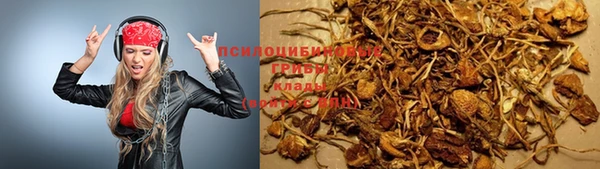 дурь Арсеньев